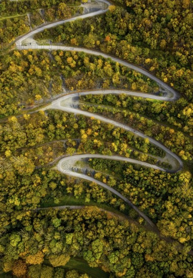 Aerial view, serpentine path to the tetrahedron on the Beckstraße spoil tip in the Batenbrock-Nord district of Bottrop, Ruhr area, North Rhine-Westphalia, Germany, viewing terrace, Bottrop, DE, Europe, shapes and colours, Emscherblick spoil tip event, autumn forest colours, aerial view, aerial photography, aerial photography, serpentine shape, overview, bird's-eye view, forest area, birds-eyes view, overview, zigzag