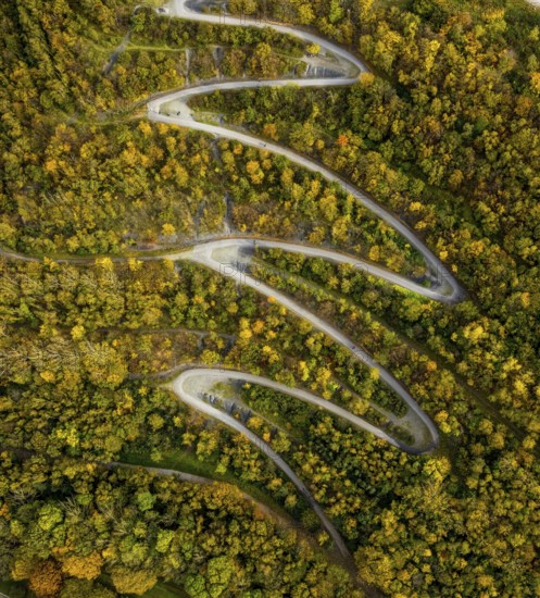 Aerial view, serpentine path to the tetrahedron on the Beckstraße spoil tip in the Batenbrock-Nord district of Bottrop, Ruhr area, North Rhine-Westphalia, Germany, viewing terrace, Bottrop, DE, Europe, shapes and colours, Emscherblick spoil tip event, autumn forest colours, aerial view, aerial photography, aerial photography, serpentine shape, overview, bird's-eye view, forest area, birds-eyes view, overview, zigzag