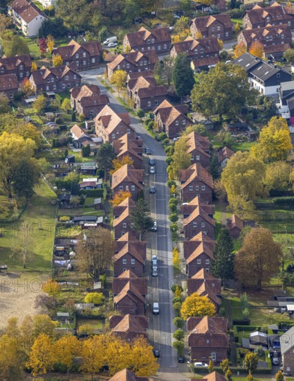 Aerial view, colliery housing estate Ludwig-Richter-Straße in the district Batenbrock-Süd in Bottrop, Ruhr area, North Rhine-Westphalia, Germany, workers' housing estate, Bottrop, DE, Europe, property tax, real estate, aerial view, aerial photography, aerial photography, overview, bird's-eye view, housing estate, housing and living, residential area, residential buildings, quality of living, residential neighbourhood, housing estate, colliery housing estate, birds-eyes view, overview, red colliery houses