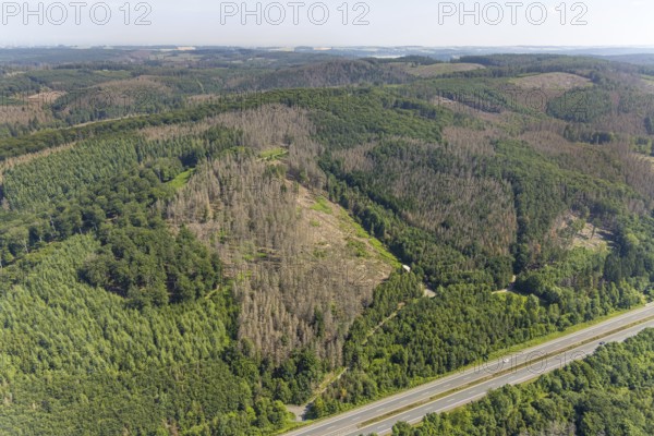 Aerial photo, forest area with forest damage in Hüsten, Arnsberg, Sauerland, North Rhine-Westphalia, Germany, tree death, DE, Europe, Hochsauerlandkreis, clear-cutting, aerial photo, aerial photography, aerial photography, overview, bird's-eye view, forest, forest area, forest damage, forest death, forest piece, birds-eyes view, overview