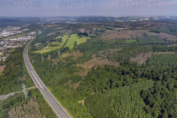 Aerial photo, forest area with forest damage in Neheim, Arnsberg, Sauerland, North Rhine-Westphalia, Germany, motorway A46, tree death, DE, Europe, Hochsauerlandkreis, clear-cutting, aerial photo, aerial photography, aerial photography, overview, bird's-eye view, forest, forest area, forest damage, forest death, piece of forest, birds-eyes view, overview