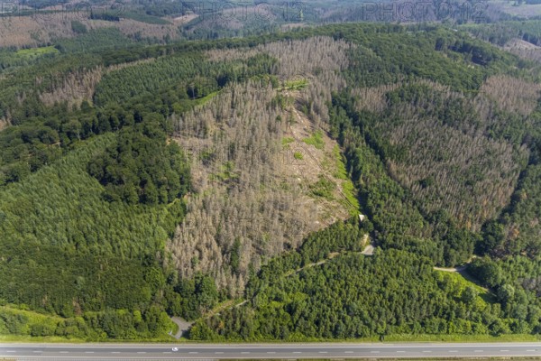 Aerial photo, forest area with forest damage in Hüsten, Arnsberg, Sauerland, North Rhine-Westphalia, Germany