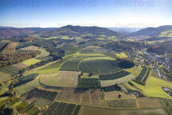 Aerial view, meadows and fields with Christmas tree cultivation at the district Heringhausen in Bestwig, Sauerland, North Rhine-Westphalia, Germany, tree plantations, Bestwig, DE, Europe, shapes and colours, aerial view, aerial photography, aerial photography, fir trees, overview, bird's eye view, Christmas tree cultures, birds-eyes view, overview
