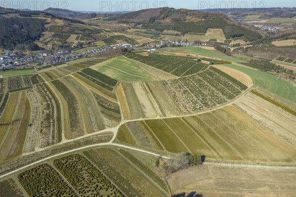 Aerial view, tree plantations, nature reserve Elpetal, meadows and fields, Heringhausen, Bestwig, Sauerland, North Rhine-Westphalia, Germany, DE, Europe, shapes and colours, landscape, aerial view, aerial photography, aerial photography, nature reserve, nature conservation, traces in the landscape, fir tree plantations, overview, bird's eye view, birds-eyes view, green lung, overview, monoculture, monocultures, Christmas tree plantations, tree nursery
