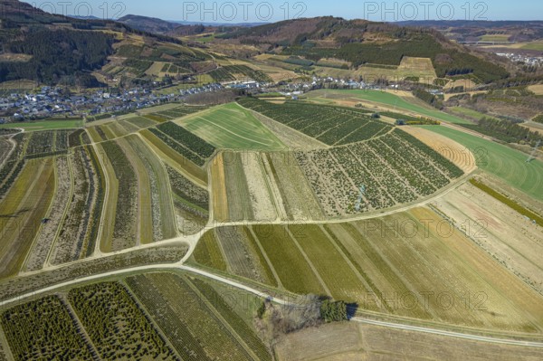 Aerial view, tree plantations, nature reserve Elpetal, meadows and fields, Heringhausen, Bestwig, Sauerland, North Rhine-Westphalia, Germany, DE, Europe, shapes and colours, landscape, aerial view, aerial photography, aerial photography, nature reserve, nature conservation, traces in the landscape, fir tree plantations, overview, bird's eye view, birds-eyes view, green lung, overview, monoculture, monocultures, Christmas tree plantations, tree nursery