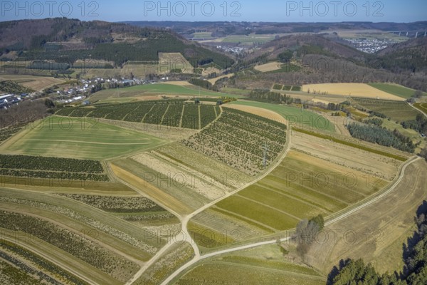 Aerial view, tree plantations, nature reserve Elpetal, meadows and fields, Heringhausen, Bestwig, Sauerland, North Rhine-Westphalia, Germany, DE, Europe, shapes and colours, landscape, aerial view, aerial photography, aerial photography, nature reserve, nature conservation, traces in the landscape, fir tree plantations, overview, bird's eye view, birds-eyes view, green lung, overview, monoculture, monocultures, Christmas tree plantations, tree nursery