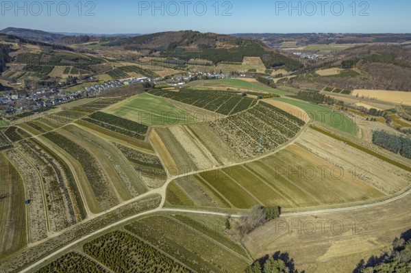 Aerial view, tree plantations, nature reserve Elpetal, meadows and fields, Heringhausen, Bestwig, Sauerland, North Rhine-Westphalia, Germany, DE, Europe, shapes and colours, landscape, aerial view, aerial photography, aerial photography, nature reserve, nature conservation, traces in the landscape, fir tree plantations, overview, bird's eye view, birds-eyes view, green lung, overview, monoculture, monocultures, Christmas tree plantations, tree nursery