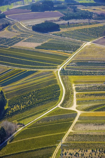 Aerial view, tree plantations, nature reserve Elpetal, meadows and fields, Gevelinghausen, Olsberg, Sauerland, North Rhine-Westphalia, Germany, DE, Europe, shapes and colours, landscape, aerial view, aerial photography, aerial photography, nature reserve, nature conservation, traces in the landscape, fir tree plantations, overview, bird's eye view, birds-eyes view, green lung, overview, monoculture, monocultures, Christmas tree plantations, tree nursery