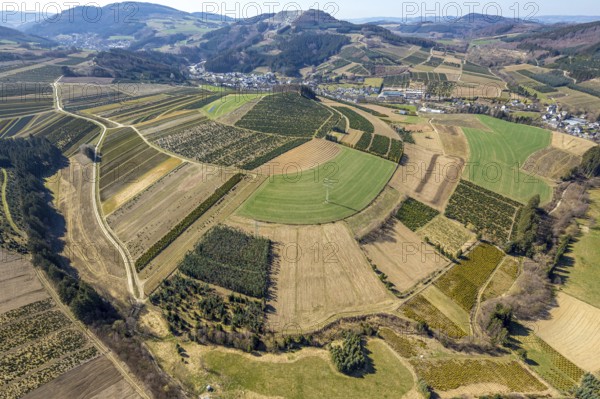 Aerial view, tree plantations, meadows and fields, Heringhausen, Bestwig, Sauerland, North Rhine-Westphalia, Germany, DE, Europe, shapes and colours, landscape, aerial view, aerial photography, aerial photography, traces in the landscape, fir tree plantations, overview, bird's-eye view, birds-eyes view, green lung, overview, monoculture, monocultures, Christmas tree plantations, tree nursery