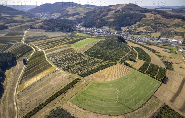 Aerial view, tree plantations, meadows and fields, Heringhausen, Bestwig, Sauerland, North Rhine-Westphalia, Germany, DE, Europe, shapes and colours, landscape, aerial view, aerial photography, aerial photography, traces in the landscape, fir tree plantations, overview, bird's-eye view, birds-eyes view, green lung, overview, monoculture, monocultures, Christmas tree plantations, tree nursery