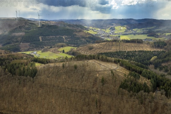Aerial photo, forest damage in the forest area Friedwald, Saßmannshausen, Bad Laasphe, Siegerland, North Rhine-Westphalia, Germany, tree mortality, DE, Europe, aerial photo, aerial photography, aerial photography, overview, bird's eye view, forest, forest area, forest damage, forest mortality, birds-eyes view, overview, bark beetle plague, spruce mortality, clearing, tree clearing, deforestation, wood pile