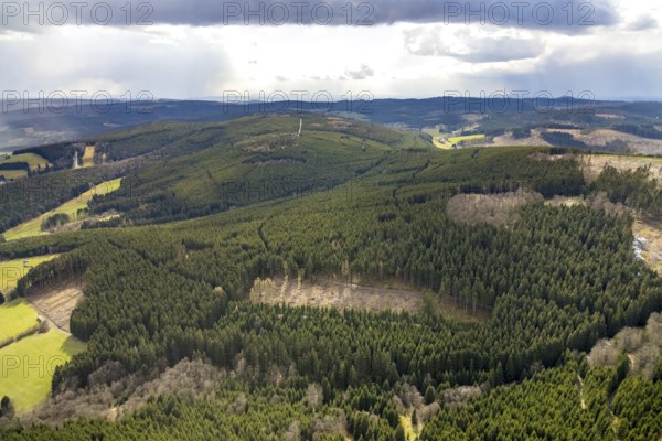 Aerial photograph, forest damage in the Holzhausen forest area, Bad Laasphe, Siegerland, North Rhine-Westphalia, Germany, tree mortality, DE, Erndtebrück, Europe, aerial photograph, aerial photography, aerial photography, overview, bird's-eye view, forest, forest area, forest damage, forest mortality, birds-eyes view, overview