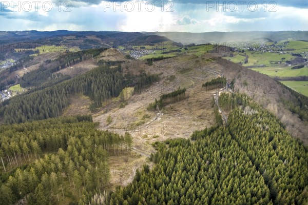 Aerial photo, forest damage in the Holzhausen forest area, Bad Laasphe, Siegerland, North Rhine-Westphalia, Germany, tree mortality, DE, Europe, aerial photo, aerial photography, aerial photography, overview, bird's-eye view, forest, forest area, forest damage, forest mortality, birds-eyes view, overview, bark beetle plague, spruce mortality, clearing, tree clearing, deforestation, woodpile