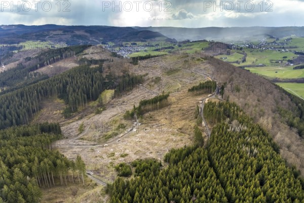 Aerial photo, forest damage in the Holzhausen forest area, Bad Laasphe, Siegerland, North Rhine-Westphalia, Germany, tree mortality, DE, Europe, aerial photo, aerial photography, aerial photography, overview, bird's-eye view, forest, forest area, forest damage, forest mortality, birds-eyes view, overview, bark beetle plague, spruce mortality, clearing, tree clearing, deforestation, woodpile