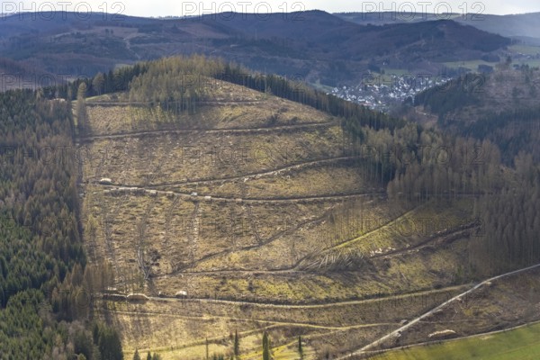 Aerial photo, forest damage in the Holzhausen forest area, Bad Laasphe, Siegerland, North Rhine-Westphalia, Germany, tree mortality, DE, Europe, aerial photo, aerial photography, aerial photography, overview, bird's-eye view, forest, forest area, forest damage, forest mortality, birds-eyes view, overview, bark beetle plague, spruce mortality, clearing, tree clearing, deforestation, woodpile