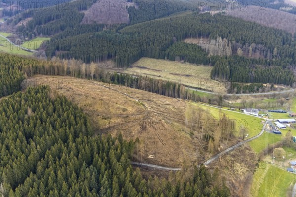 Aerial photo, forest damage in the Holzhausen forest area, Bad Laasphe, Siegerland, North Rhine-Westphalia, Germany, tree mortality, DE, Europe, aerial photo, aerial photography, aerial photography, overview, bird's-eye view, forest, forest area, forest damage, forest mortality, birds-eyes view, overview, bark beetle plague, spruce mortality, clearing, tree clearing, deforestation, woodpile
