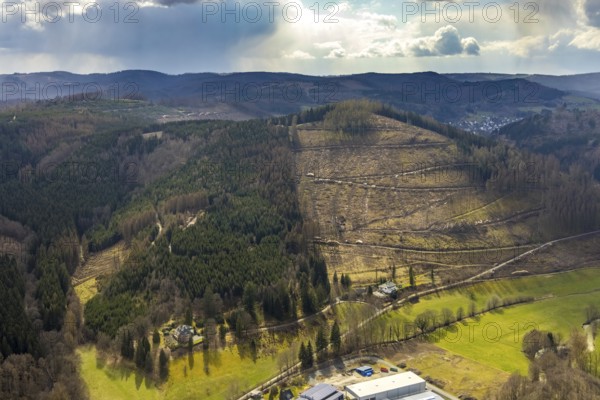 Aerial photo, forest damage in the Holzhausen forest area, Bad Laasphe, Siegerland, North Rhine-Westphalia, Germany, tree mortality, DE, Europe, aerial photo, aerial photography, aerial photography, overview, bird's-eye view, forest, forest area, forest damage, forest mortality, birds-eyes view, overview, bark beetle plague, spruce mortality, clearing, tree clearing, deforestation, woodpile