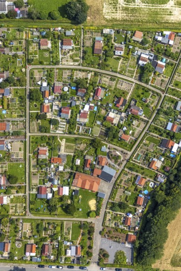 Aerial view, allotment garden association Im Krähenwinkel e.V. in Bergkamen, Ruhr area, North Rhine-Westphalia, Germany, Bergkamen, DE, Europe, community garden, allotment garden, allotment garden site, allotment garden association, aerial view, aerial photography, aerial photography, allotment garden, overview, bird's-eye view, overview