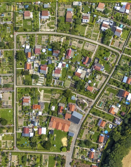 Aerial view, allotment garden association Im Krähenwinkel e.V. in Bergkamen, Ruhr area, North Rhine-Westphalia, Germany, Bergkamen, DE, Europe, community garden, allotment garden, allotment garden site, allotment garden association, aerial view, aerial photography, aerial photography, allotment garden, overview, bird's-eye view, overview