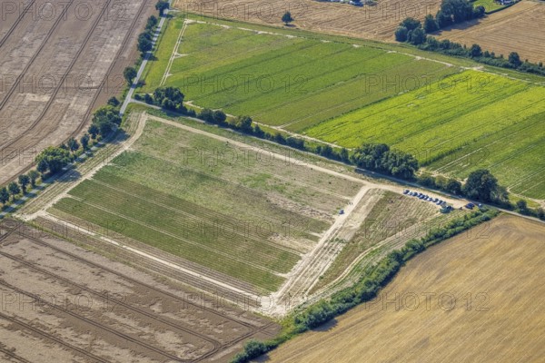 Aerial view, flower field, meadows and fields Im Kreigenfeld in Bergkamen, Ruhr area, North Rhine-Westphalia, Germany, Bergkamen, fallow land, DE, Europe, aerial view, aerial photography, aerial photography, overview, bird's-eye view, meadows and fields, birds-eyes view, overview