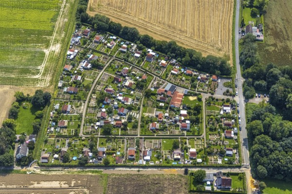 Aerial view, allotment garden association Im Krähenwinkel e.V. in Bergkamen, Ruhr area, North Rhine-Westphalia, Germany, Bergkamen, DE, Europe, community garden, allotment garden, allotment garden site, allotment garden association, aerial view, aerial photography, aerial photography, allotment garden, overview, bird's-eye view, overview
