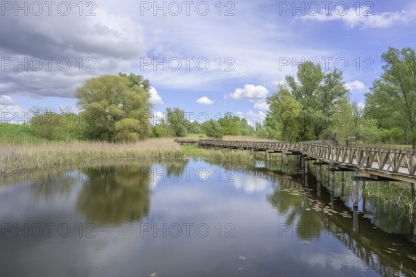 Jetty in the Kopacki Rit nature park Park, Kopacevo, Osijek-Baranja County, Croatia