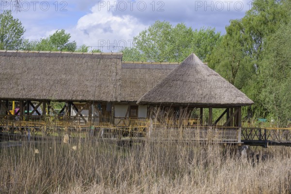 Jetty in the Kopacki Rit nature park Park, Kopacevo, Osijek-Baranja County, Croatia