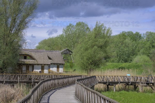 Jetty in the Kopacki Rit nature park Park, Kopacevo, Osijek-Baranja County, Croatia
