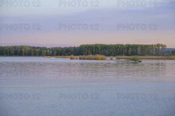 Evening light at the Drava reservoir, Prelog, Medimurje County, Croatia