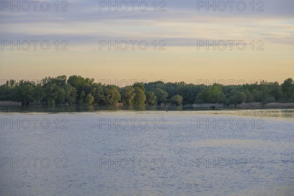 Evening light at the Drava reservoir, Prelog, Medimurje County, Croatia
