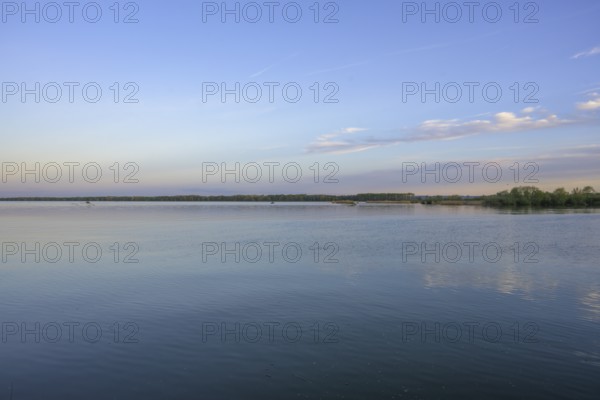 Evening light at the Drava reservoir, Prelog, Medimurje County, Croatia
