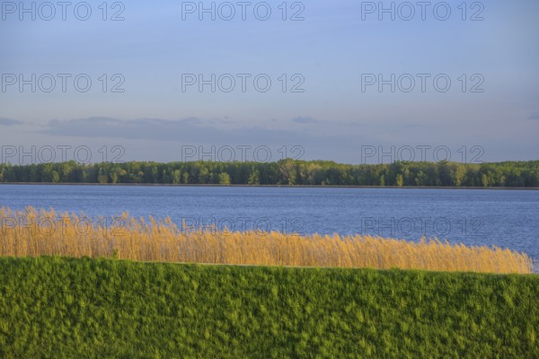 Drava Reservoir, Prelog, Medimurje County, Croatia