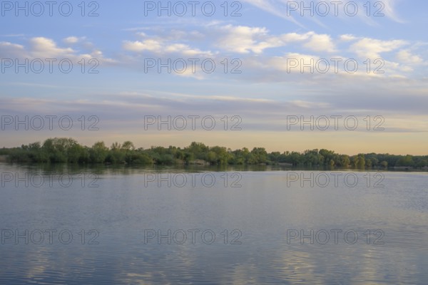 Evening light at the Drava reservoir, Prelog, Medimurje County, Croatia
