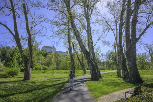 City park with a view of Oberradkersburg Castle in Slovenia, Bad Radkersburg, Styria, Austria