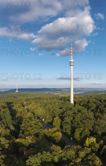 View of the television tower with dense forest and clear sky, soft clouds above, Stuttgart-Degerloch, Baden-Württemberg, Germany