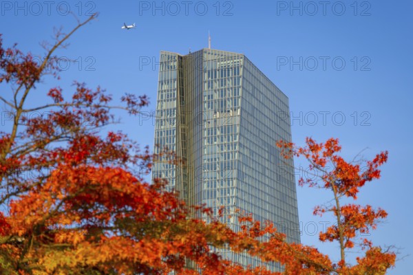 The European Central Bank (ECB) in Frankfurt am Main stands out from the autumnal, colourful trees on the banks of the Main, Weseler Werft, Frankfurt am Main, Hesse, Germany
