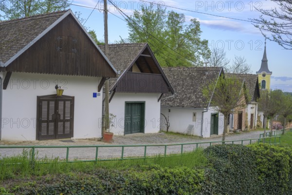 Cellar alley, Zmajevac, Osijek-Baranja County, Croatia