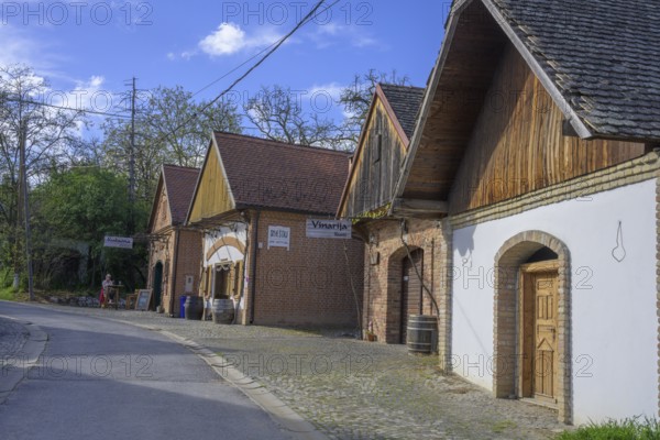 Cellar alley, Zmajevac, Osijek-Baranja County, Croatia