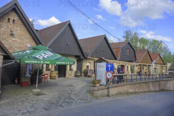 Restaurant Josic in the cellar alley, Zmajevac, Osijek-Baranja County, Croatia