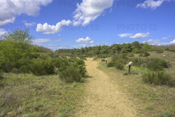 Ðurdevacki pjesci nature reserve, Ðurdevac, Koprivnica-Križevc County, Croatia