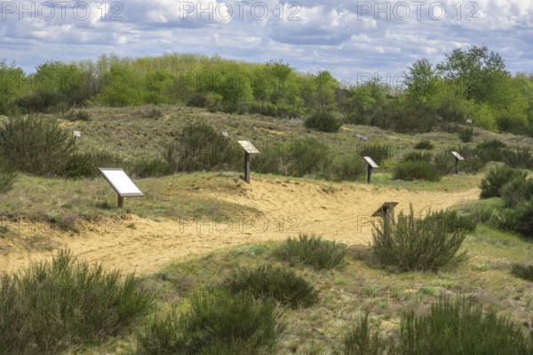 Ðurdevacki pjesci nature reserve, Ðurdevac, Koprivnica-Križevc County, Croatia