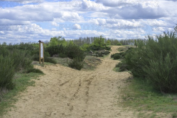 Ðurdevacki pjesci nature reserve, Ðurdevac, Koprivnica-Križevc County, Croatia