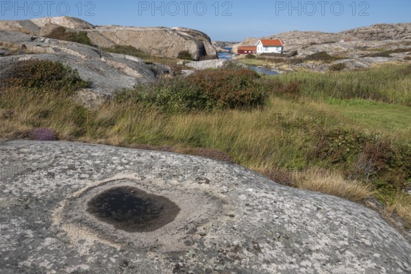 Houses on the coast, Bohus Granit, Ramsvik, Ramsviklandet nature reserve, archipelago, Bohuslän, Skagerrak, Sotenäs, Västra Götalands län, Sweden