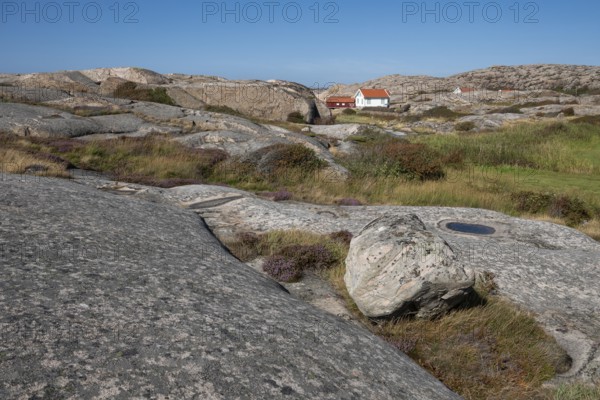 Houses on the coast, Bohus Granit, Ramsvik, Ramsviklandet nature reserve, archipelago, Bohuslän, Skagerrak, Sotenäs, Västra Götalands län, Sweden
