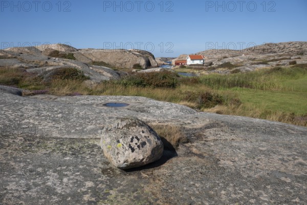 Houses on the coast, Bohus Granit, Ramsvik, Ramsviklandet nature reserve, archipelago, Bohuslän, Skagerrak, Sotenäs, Västra Götalands län, Sweden