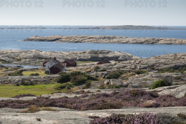 Houses by the sea, Bohus Granit, Ramsvik, Ramsviklandet nature reserve, archipelago, Bohuslän, Skagerrak, Sotenäs, Västra Götalands län, Sweden