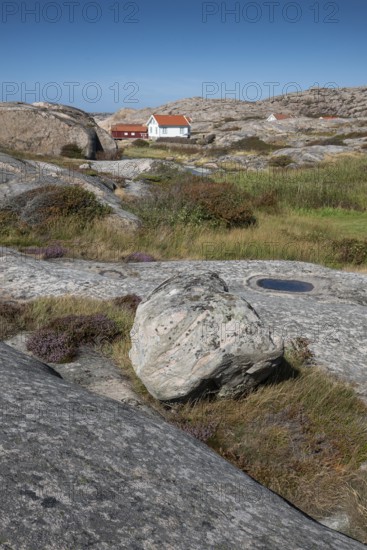 Houses on the coast, Bohus Granit, Ramsvik, Ramsviklandet nature reserve, archipelago, Bohuslän, Skagerrak, Sotenäs, Västra Götalands län, Sweden