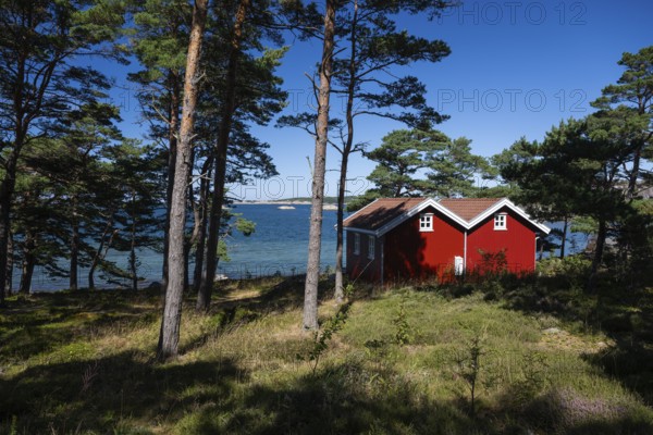 Falun red or Swedish red boathouses between pine trees, Resö Island, Bohuslän, Skagerrak, Sotenäs, Västra Götalands län, Sweden