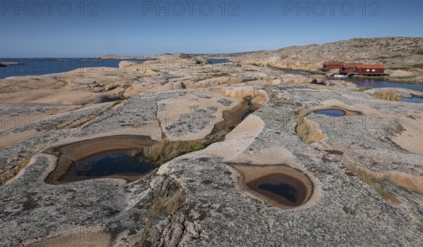 Rocks with rainwater puddles, falun red houses, rocky coast, Bohus granite, Ramsvik, nature reserve Ramsviklandet, Bohuslän, Skagerrak, Sotenäs, Västra Götalands län, Sweden
