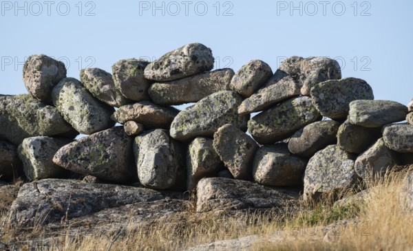 A stone wall made of Bohus granite rocks, rocky coast, Ramsvik, Ramsviklandet nature reserve, Bohuslän, Skagerrak, Sotenäs, Västra Götalands län, Sweden